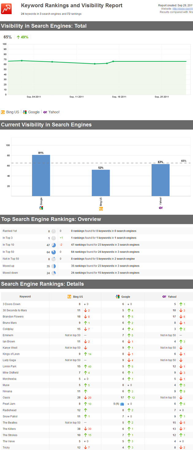 Search-Engine-Rankings-Report